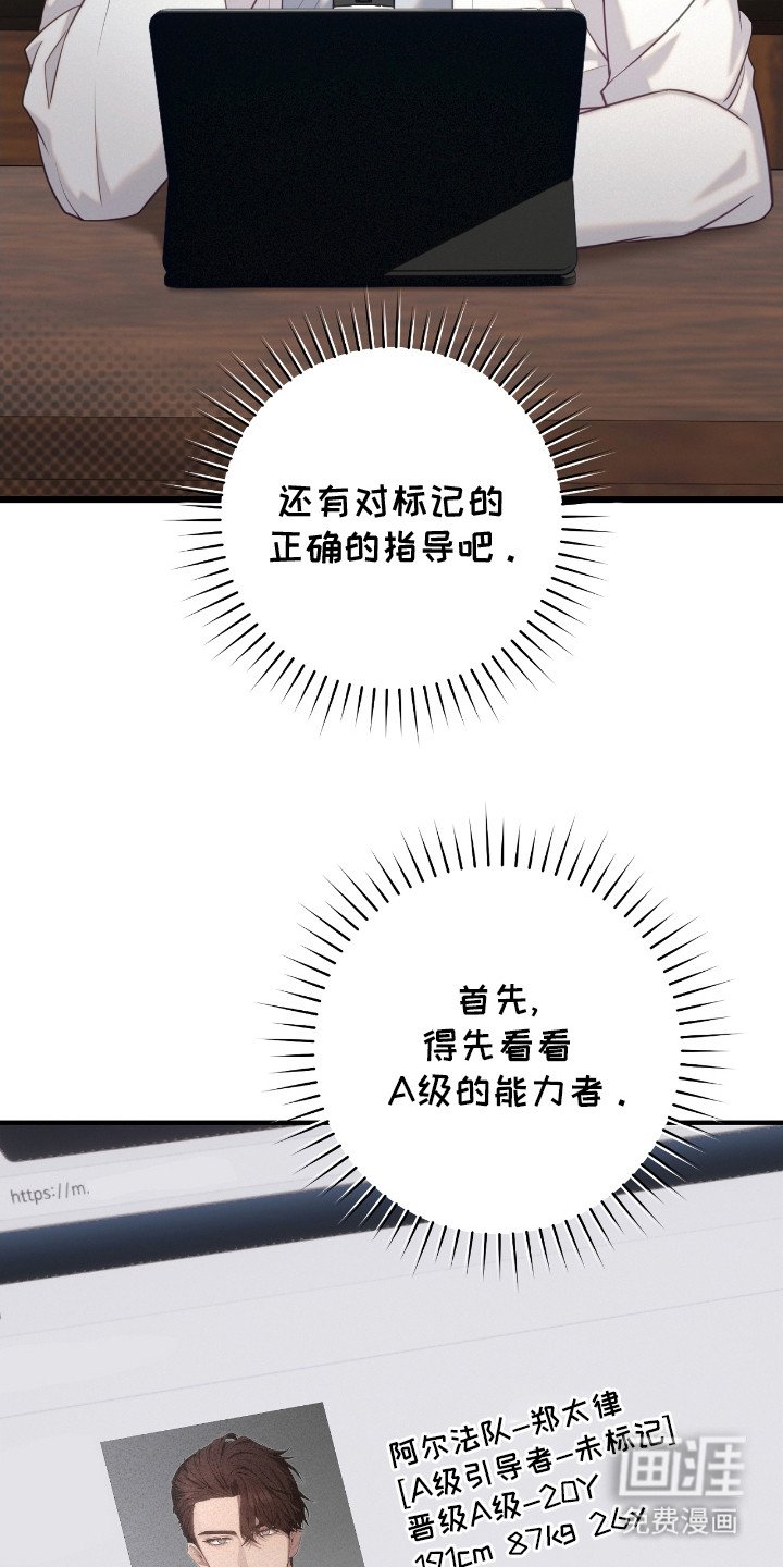 第11章：检查官