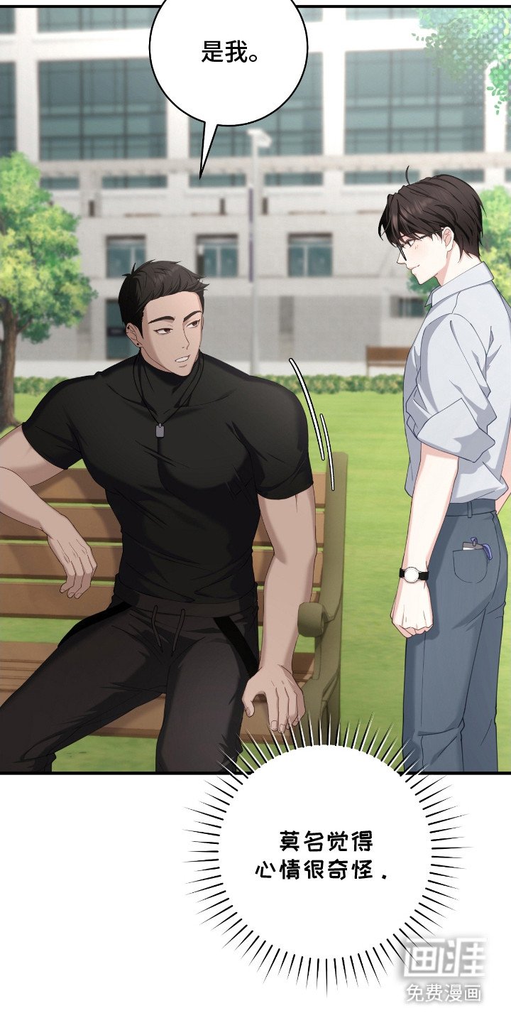 第13章：迷路小狗