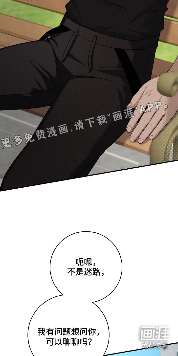 第13章：迷路小狗