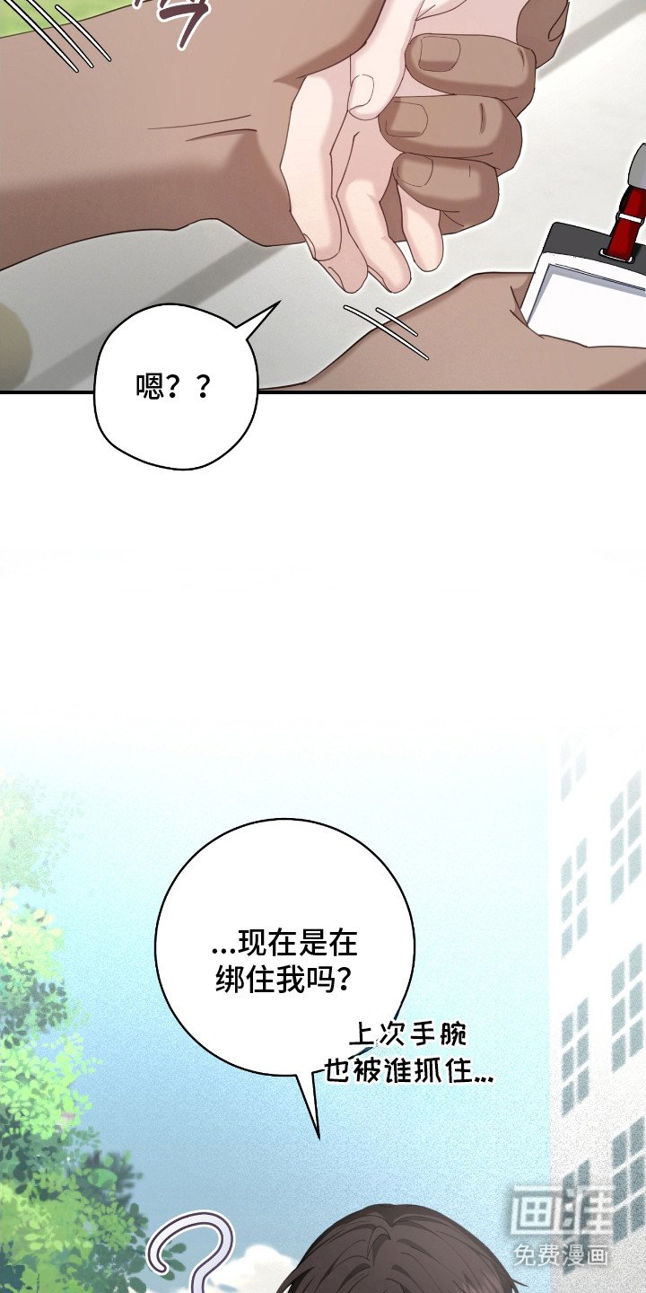 第13章：迷路小狗