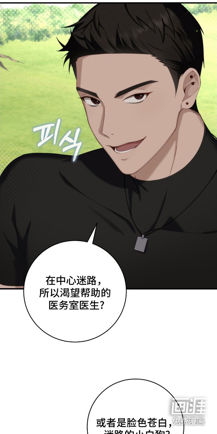 第13章：迷路小狗