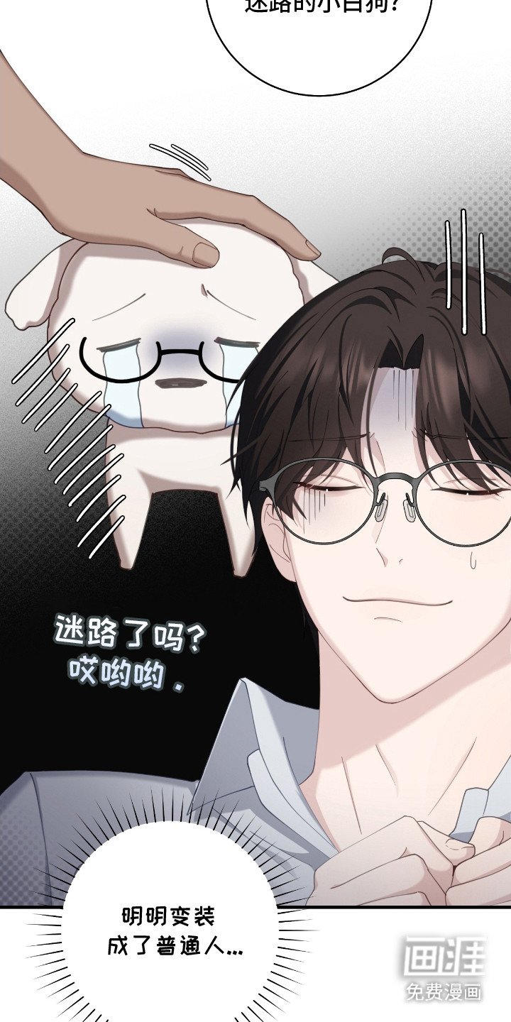 第13章：迷路小狗