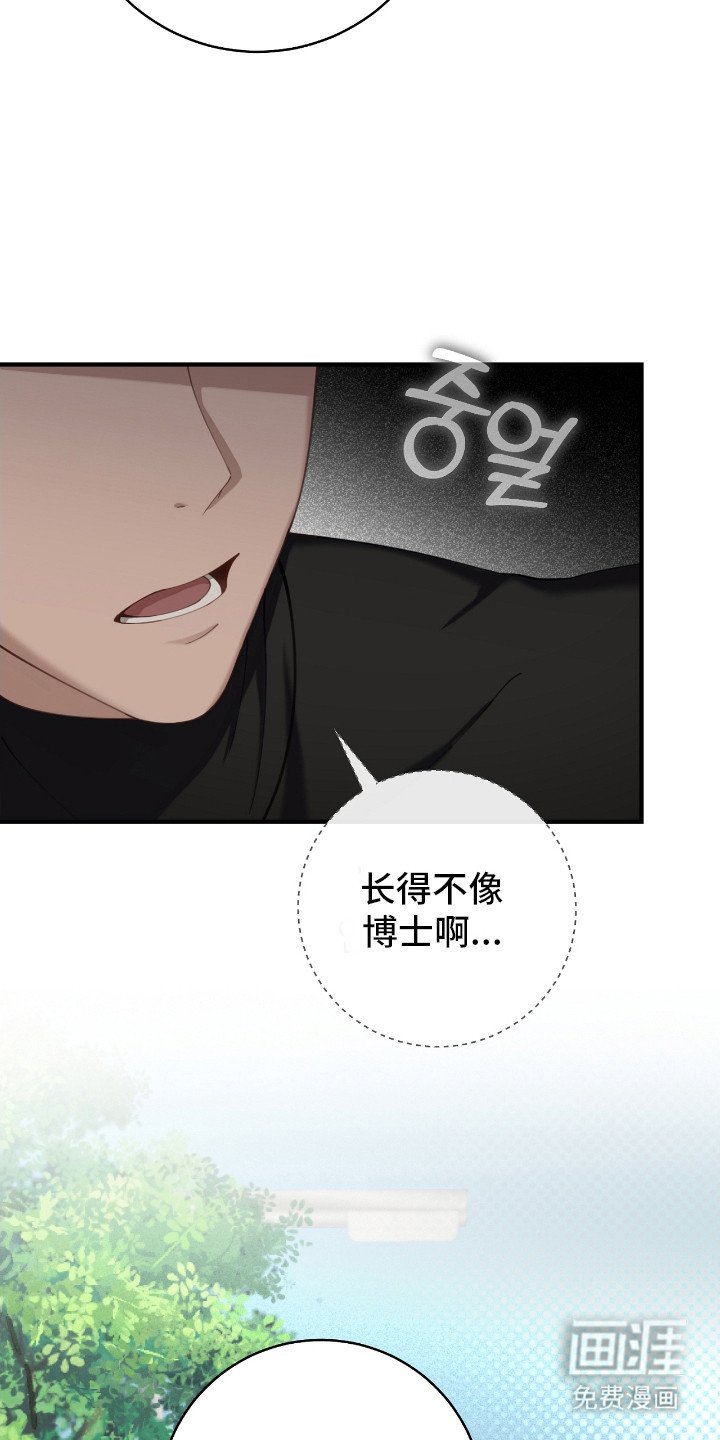 第13章：迷路小狗