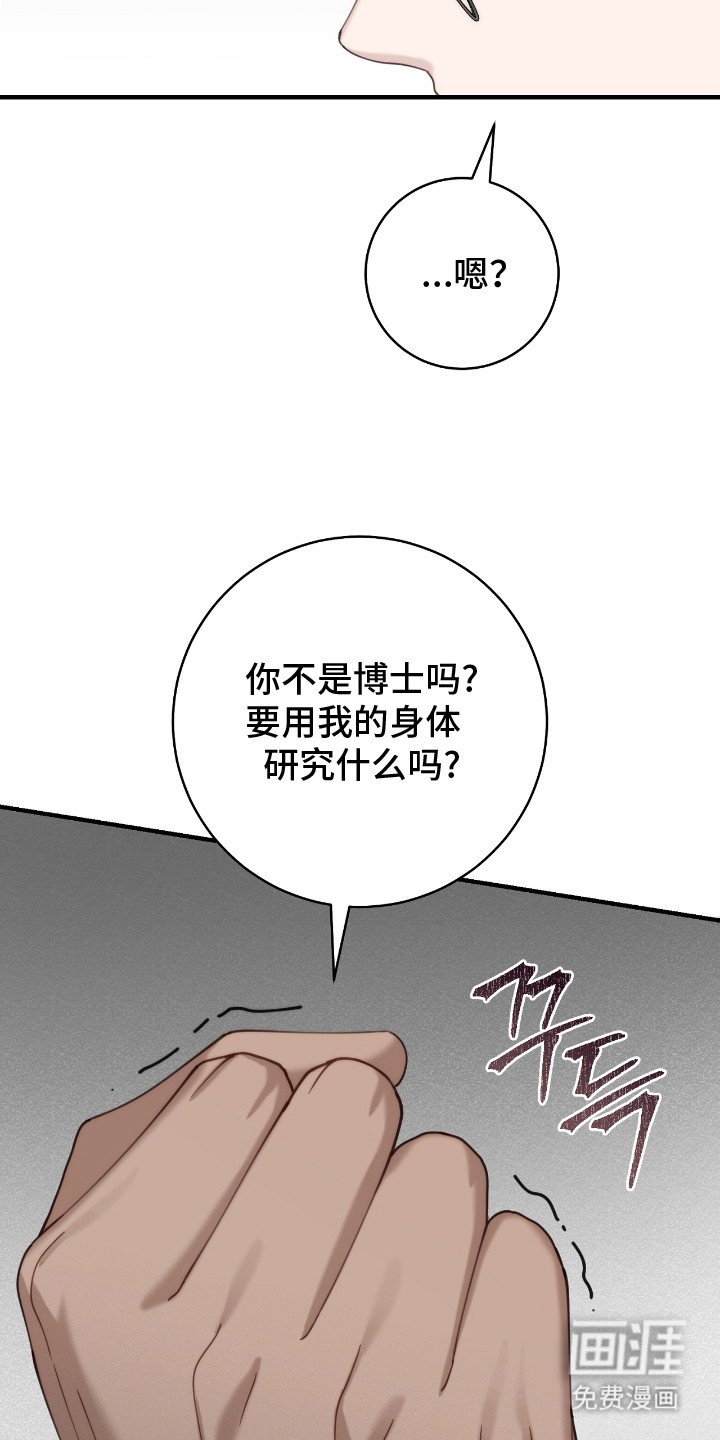 第13章：迷路小狗