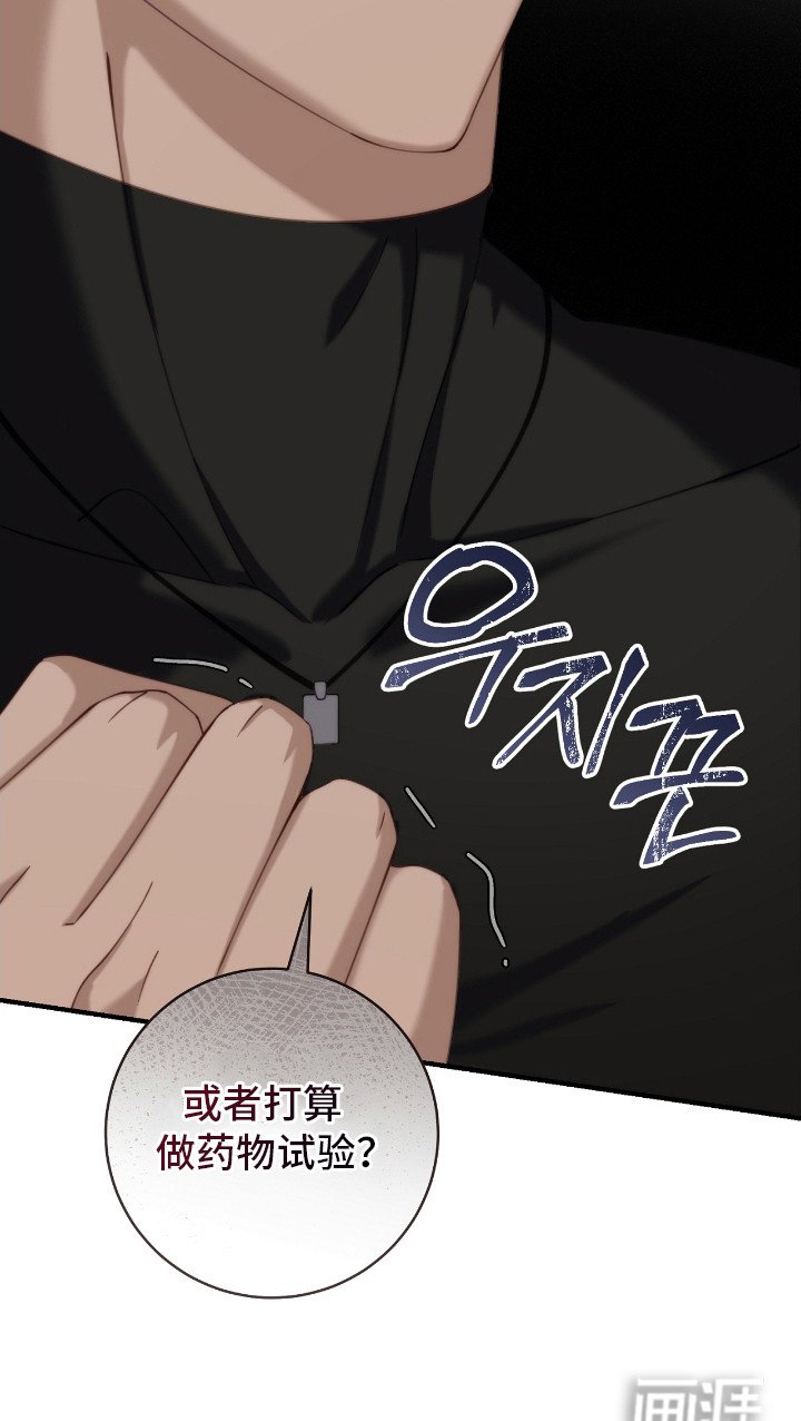 第13章：迷路小狗