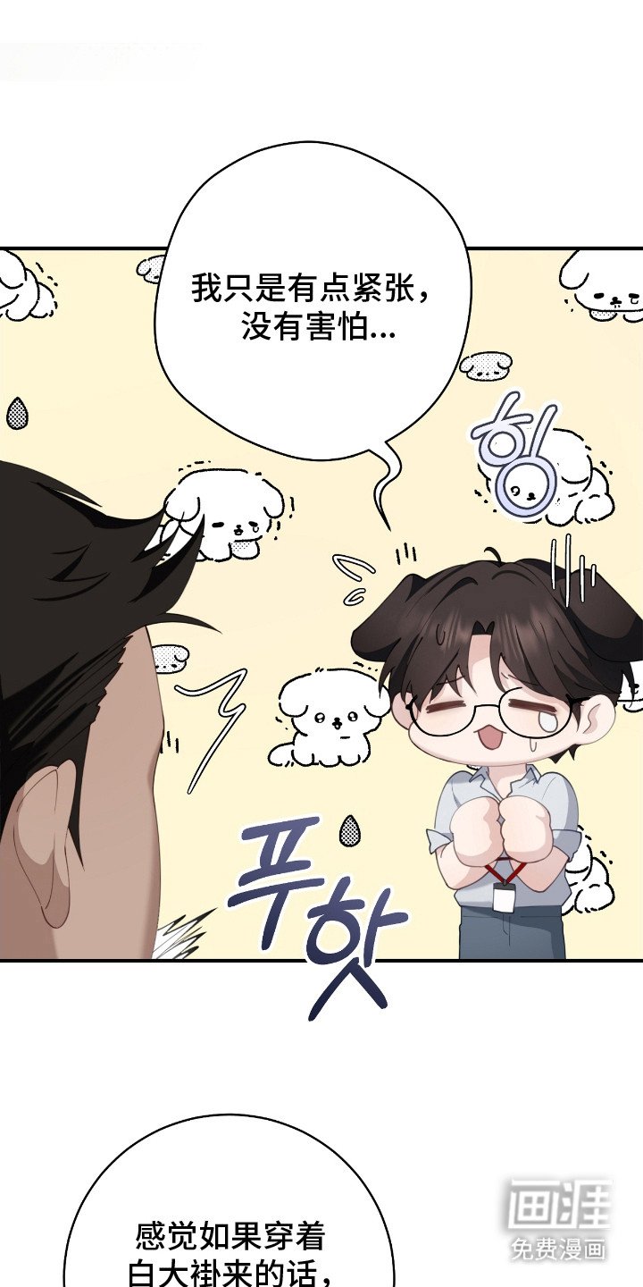 第14章：约定