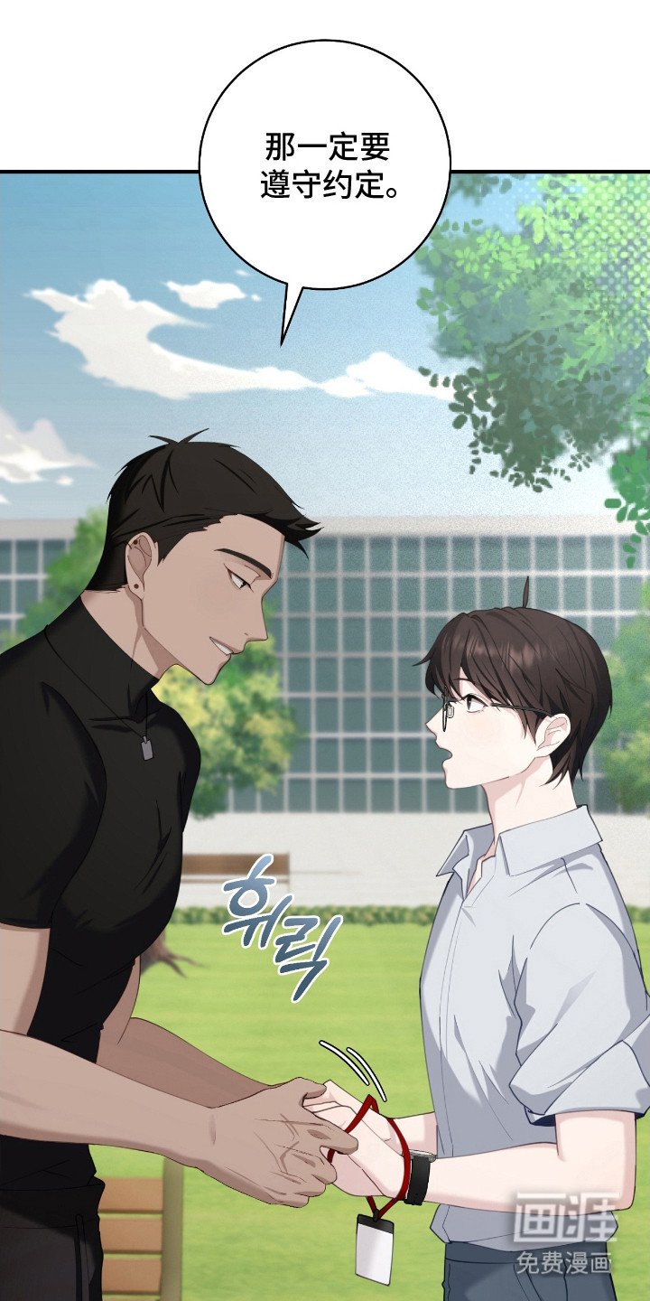 第14章：约定
