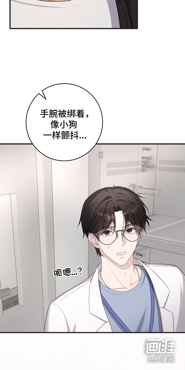 第16章：模仿