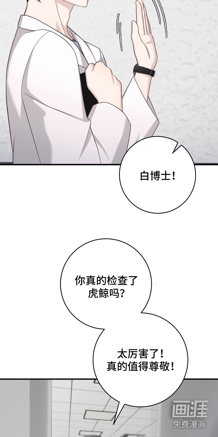 第19章：糖果