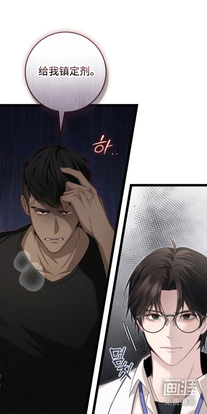 第24章：兴奋状态