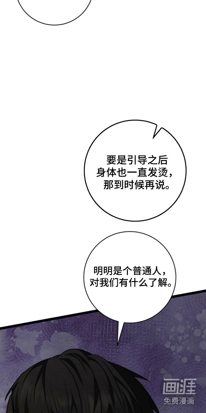 第24章：兴奋状态