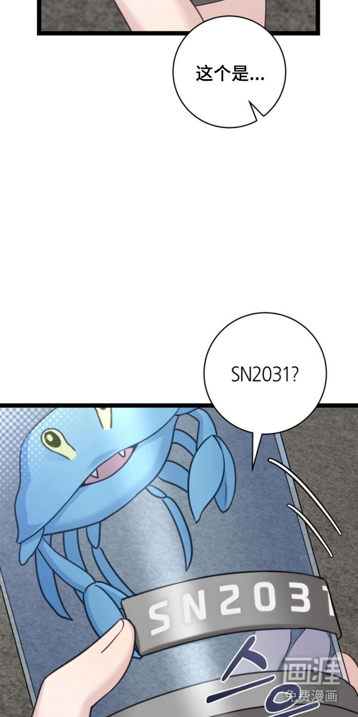 第25章：特殊礼物