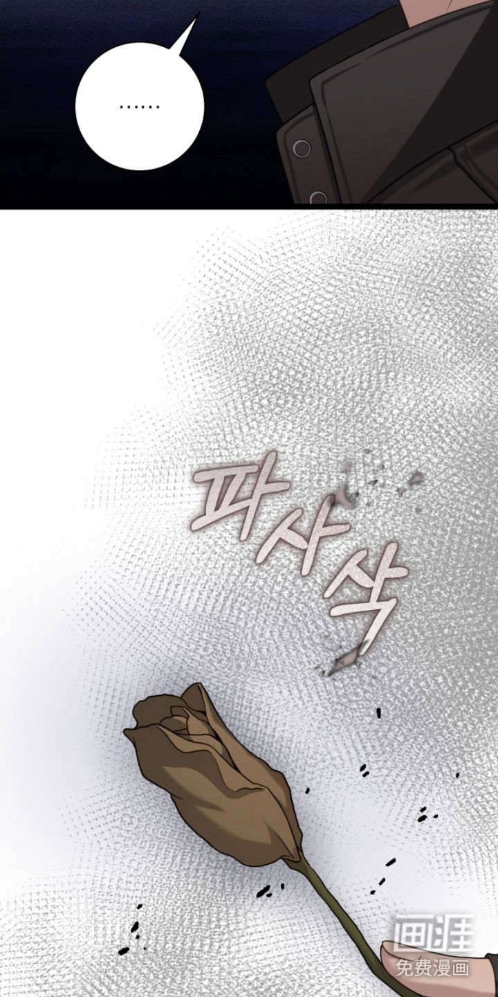 第26章：不感兴趣