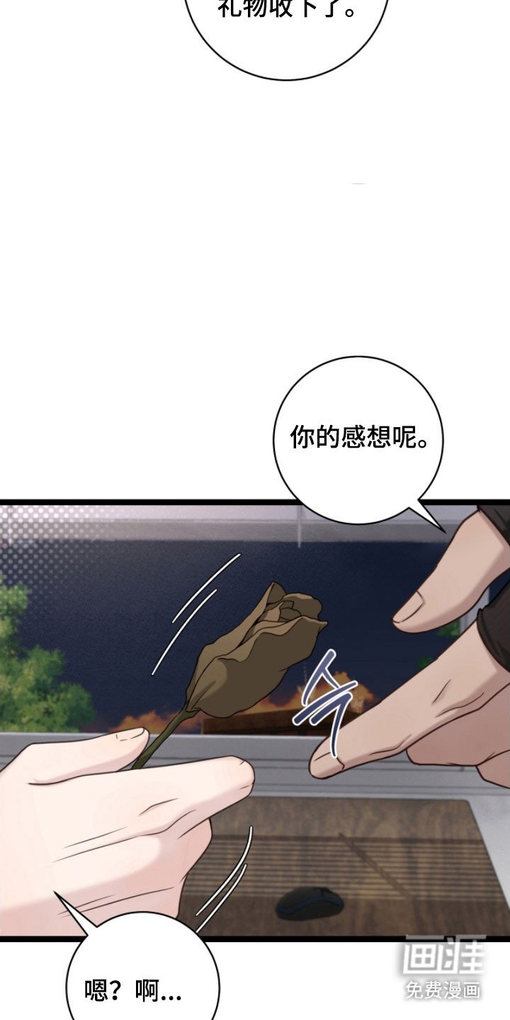 第26章：不感兴趣