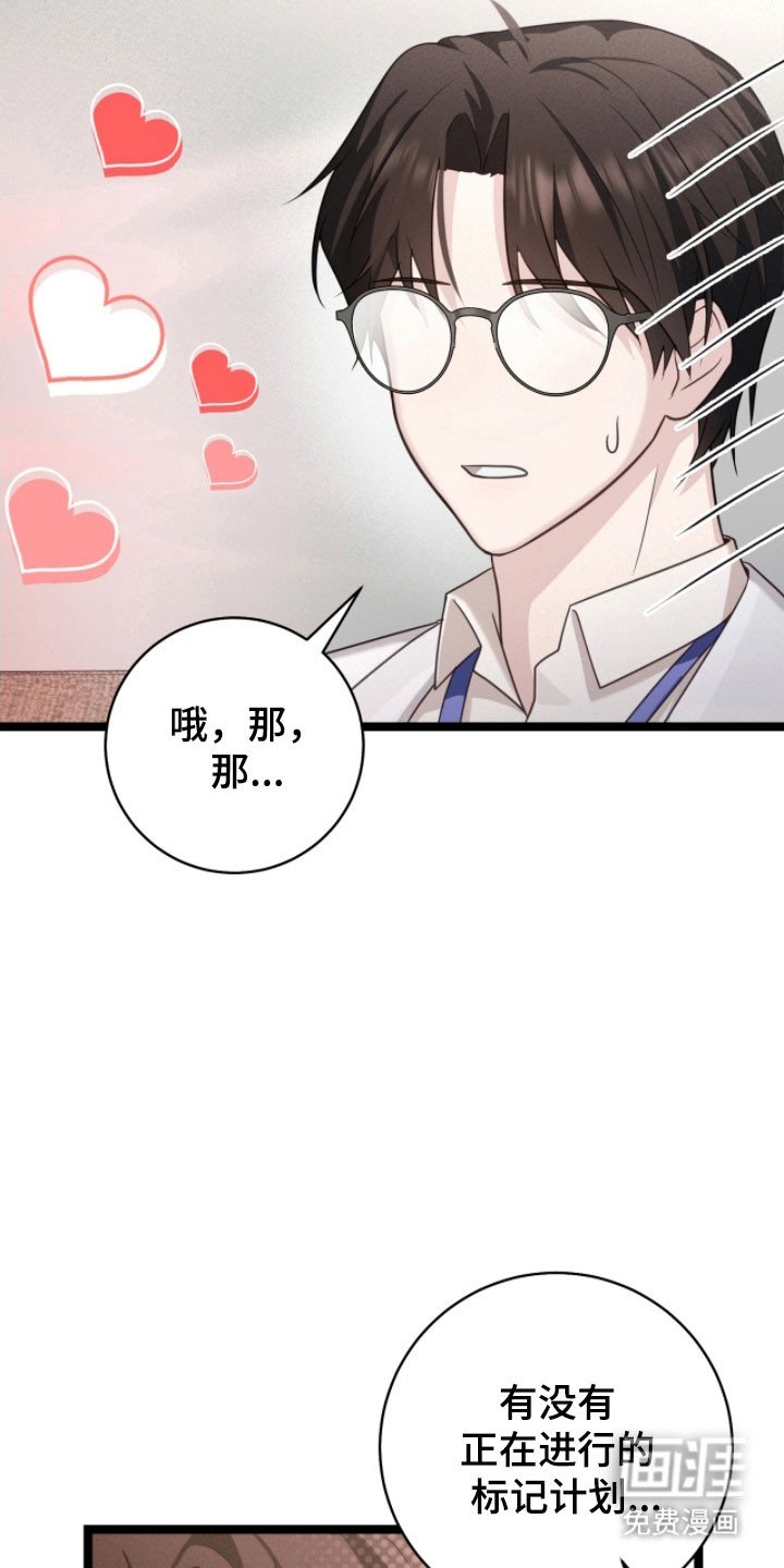 第33章：标记方式