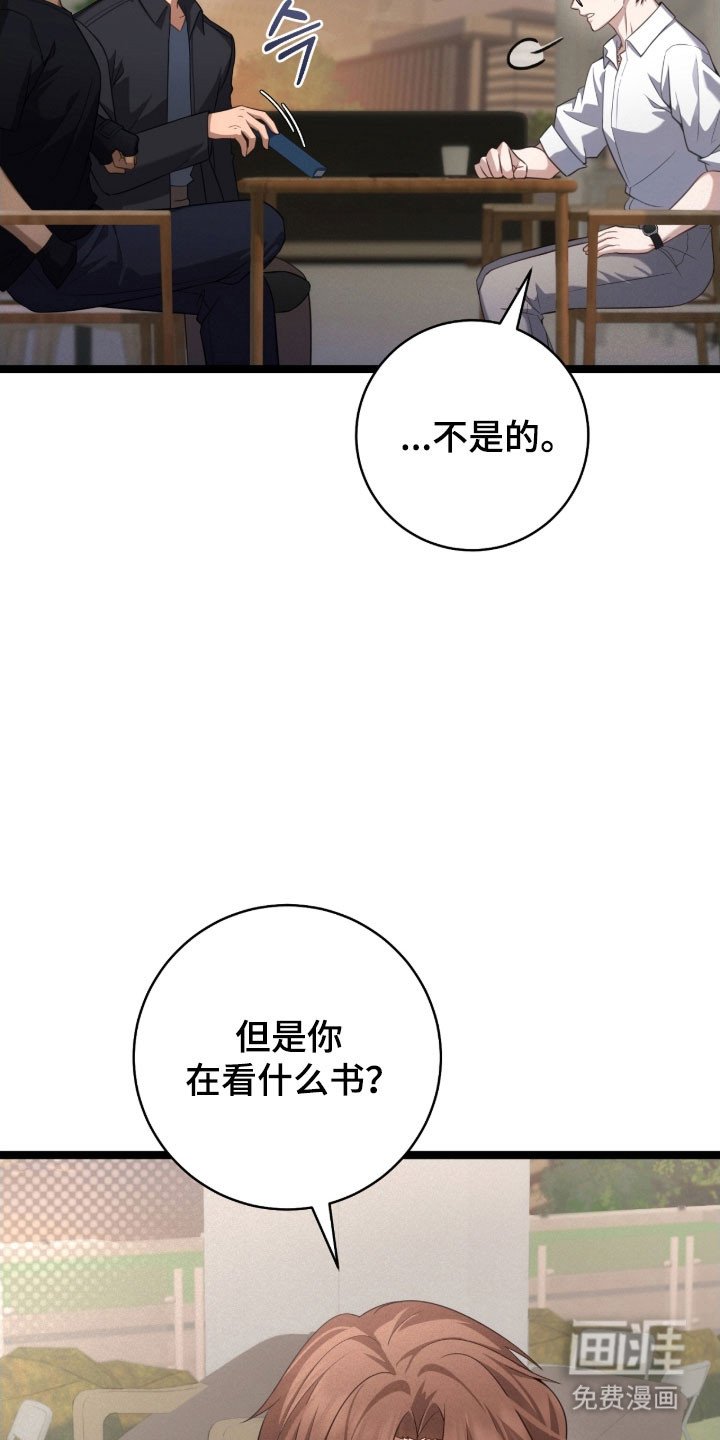 第37章：挑衅