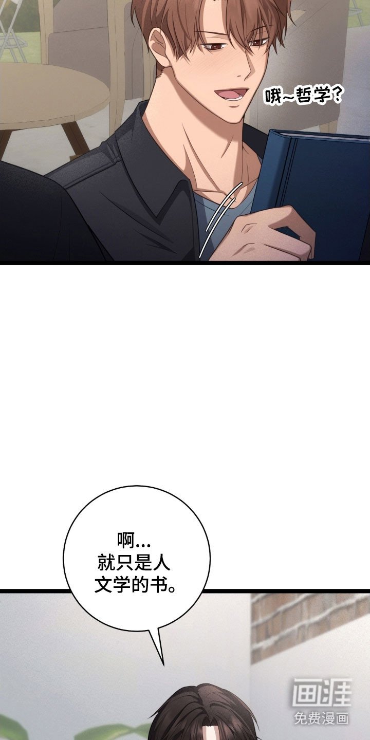 第37章：挑衅