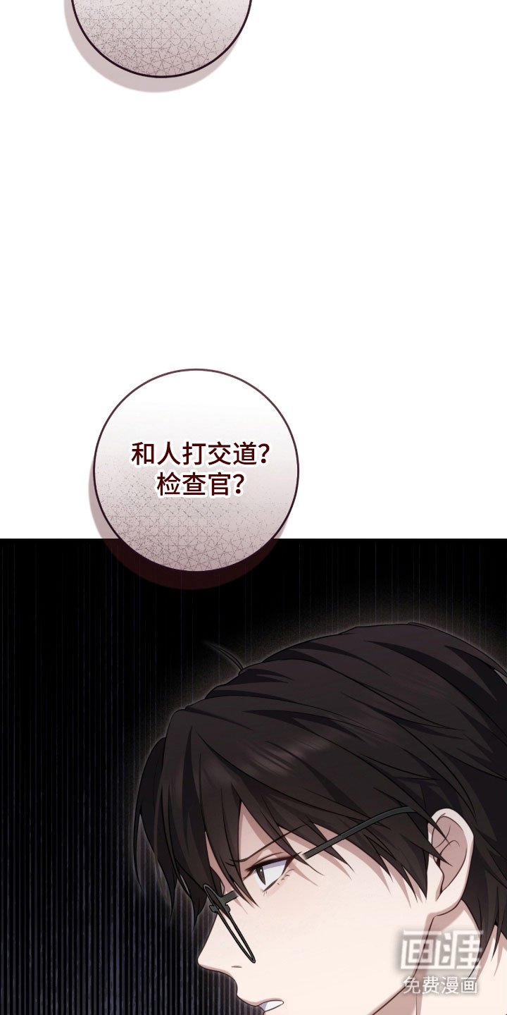第37章：挑衅