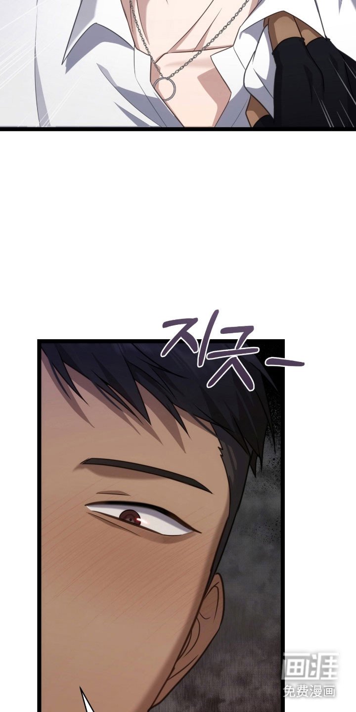 第37章：挑衅