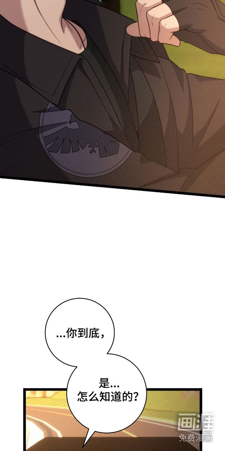 第43章：害怕检查