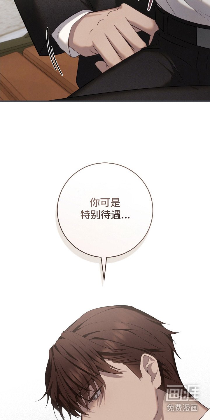 第7章：特别待遇