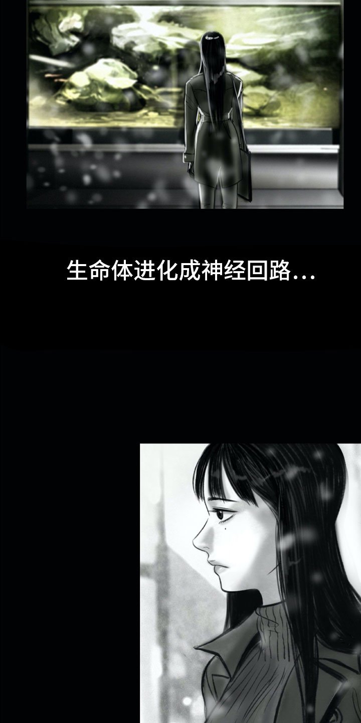 第1章：母亲的葬礼