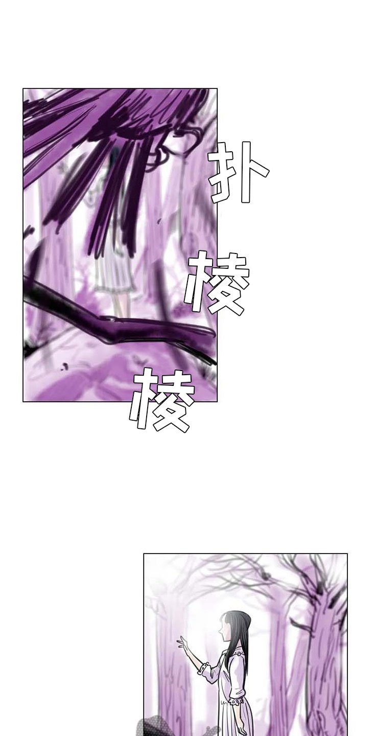 第13章：成为朋友