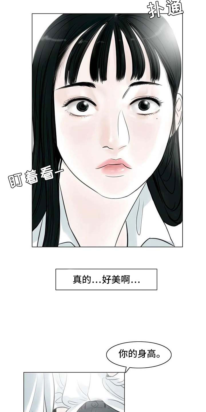 第19章：美莱的世界