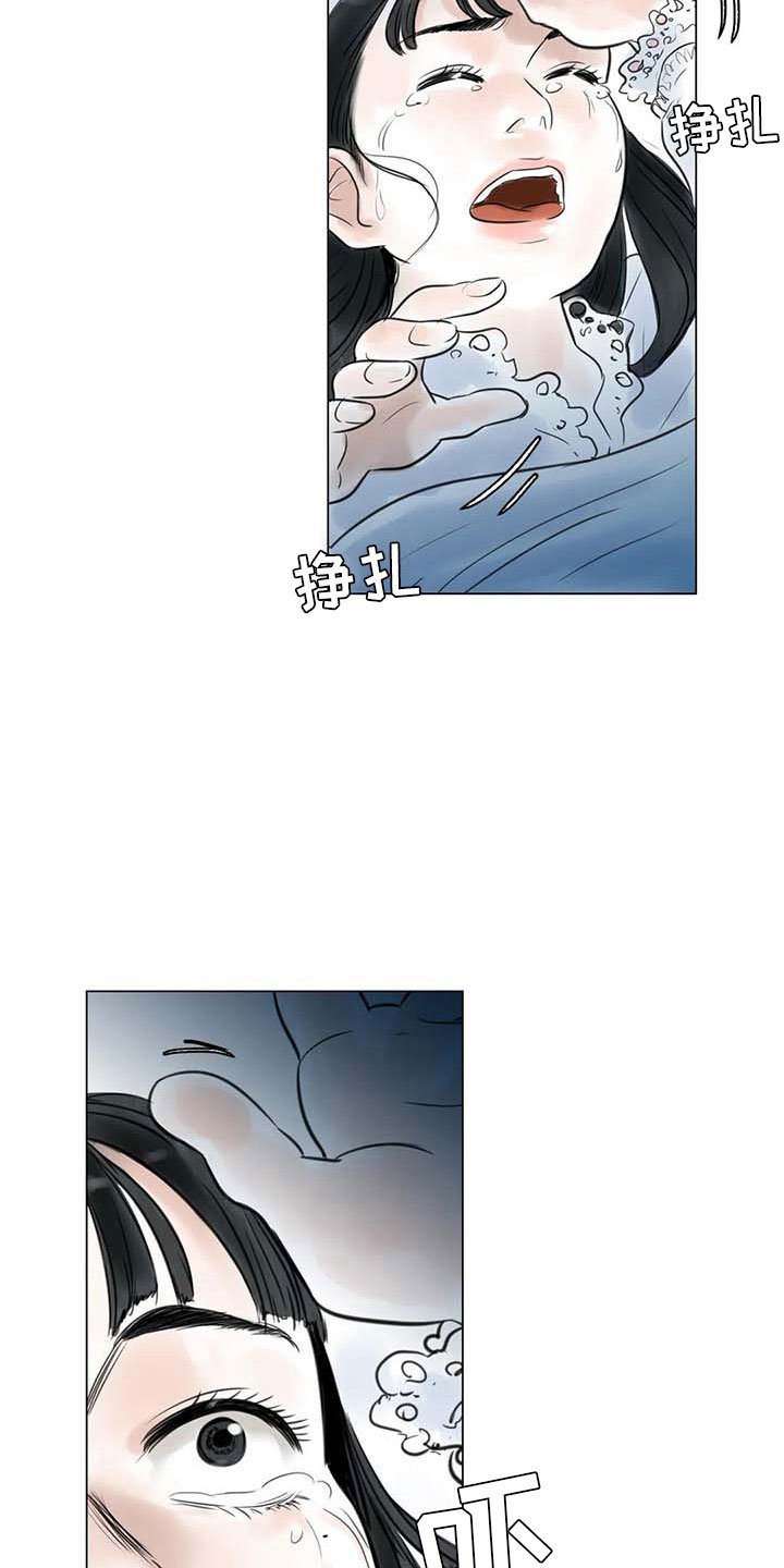 第25章：新的惊喜