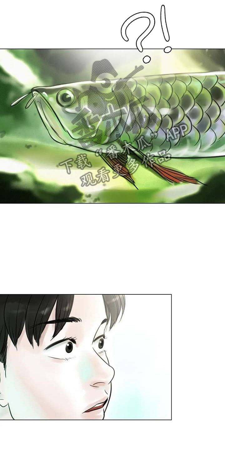 第25章：新的惊喜