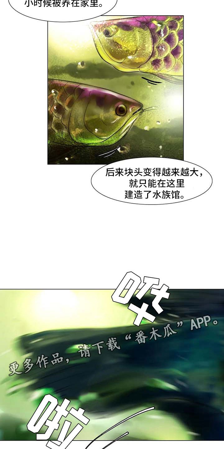 第26章：等待的乐趣