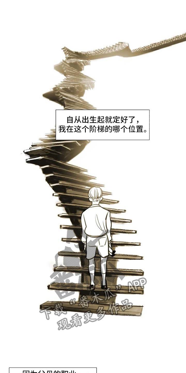 第36章：人气教授
