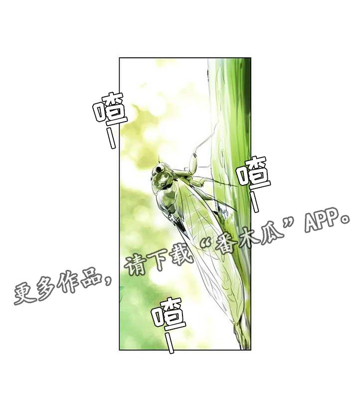 第41章：有话要说