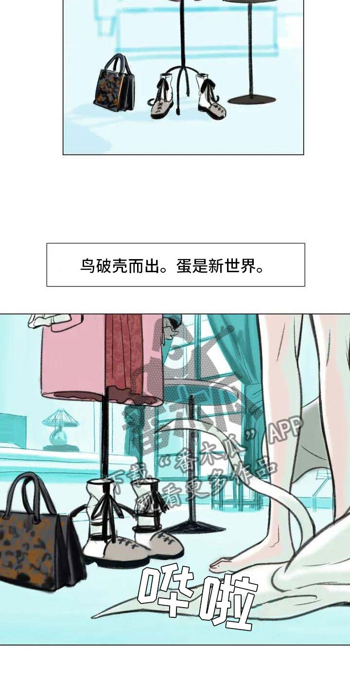 第5章：自由运营