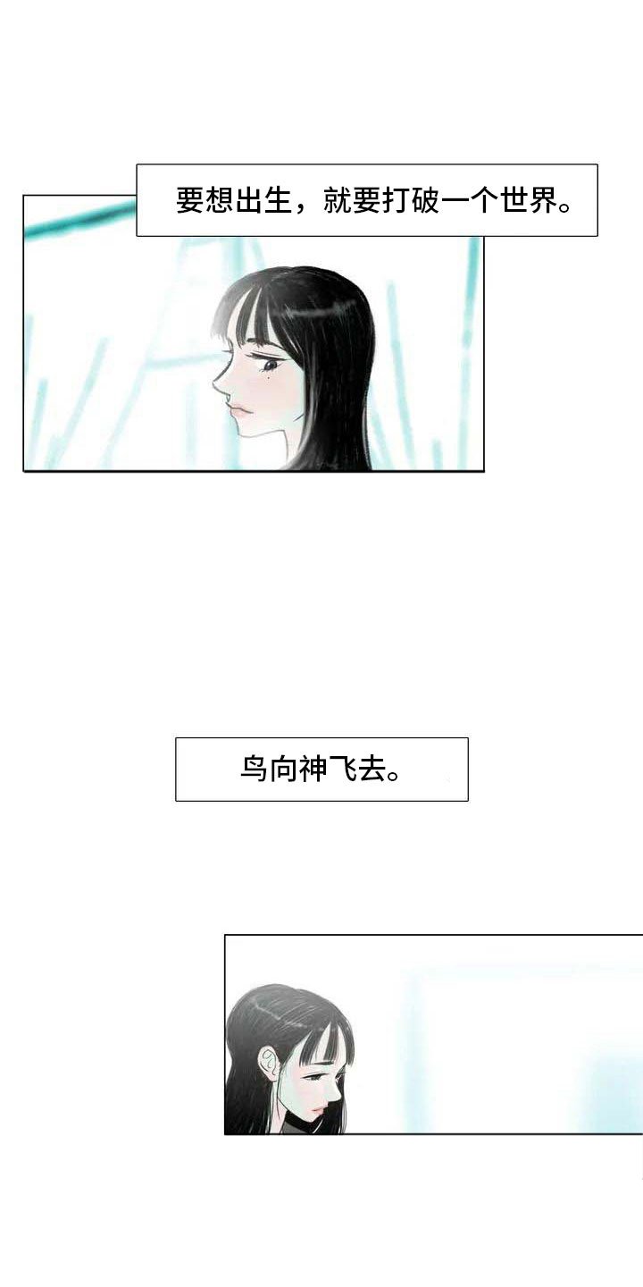 第5章：自由运营