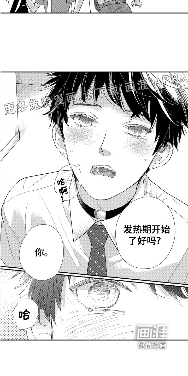 第17章：发作