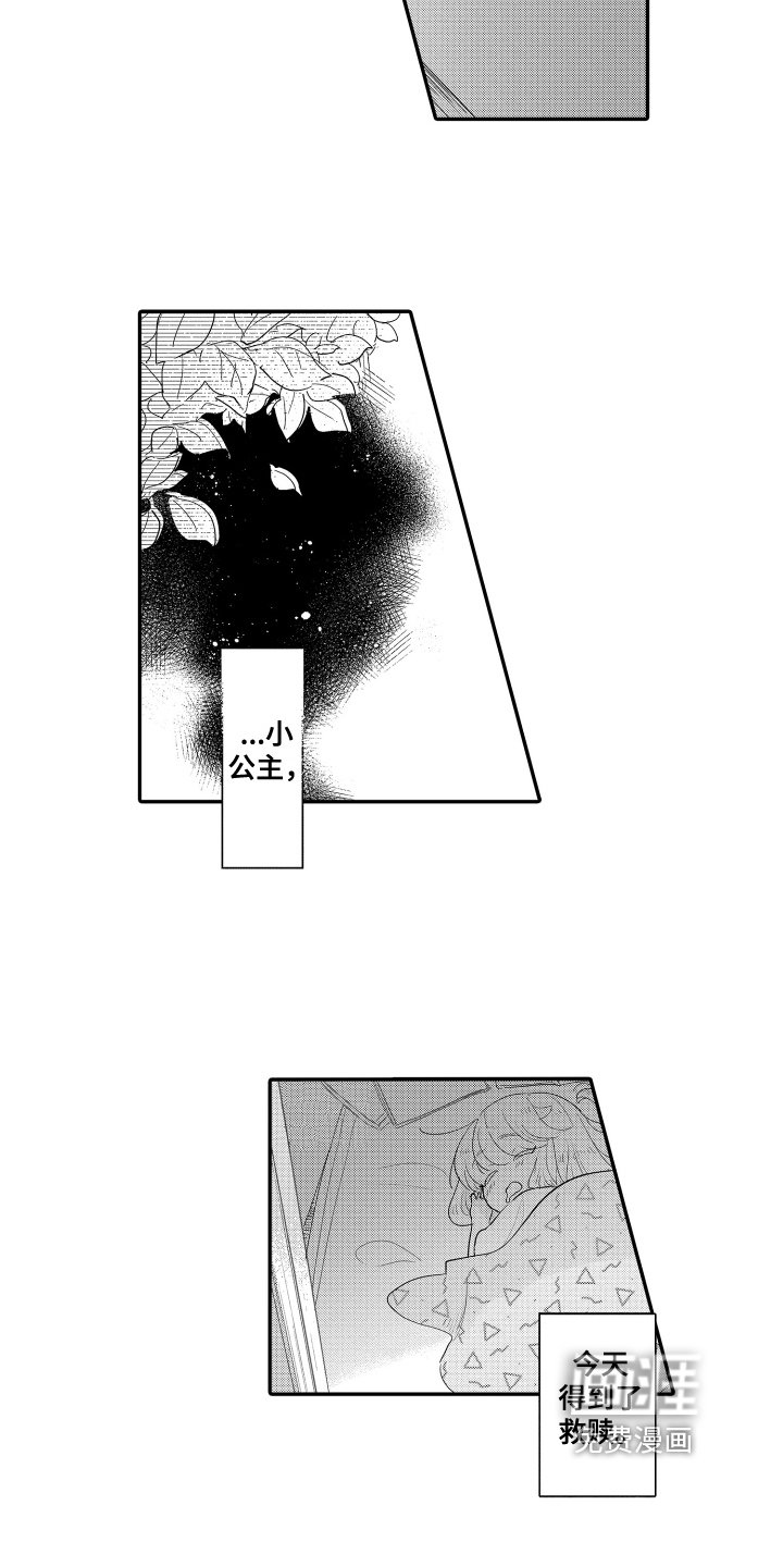 第21章：表白