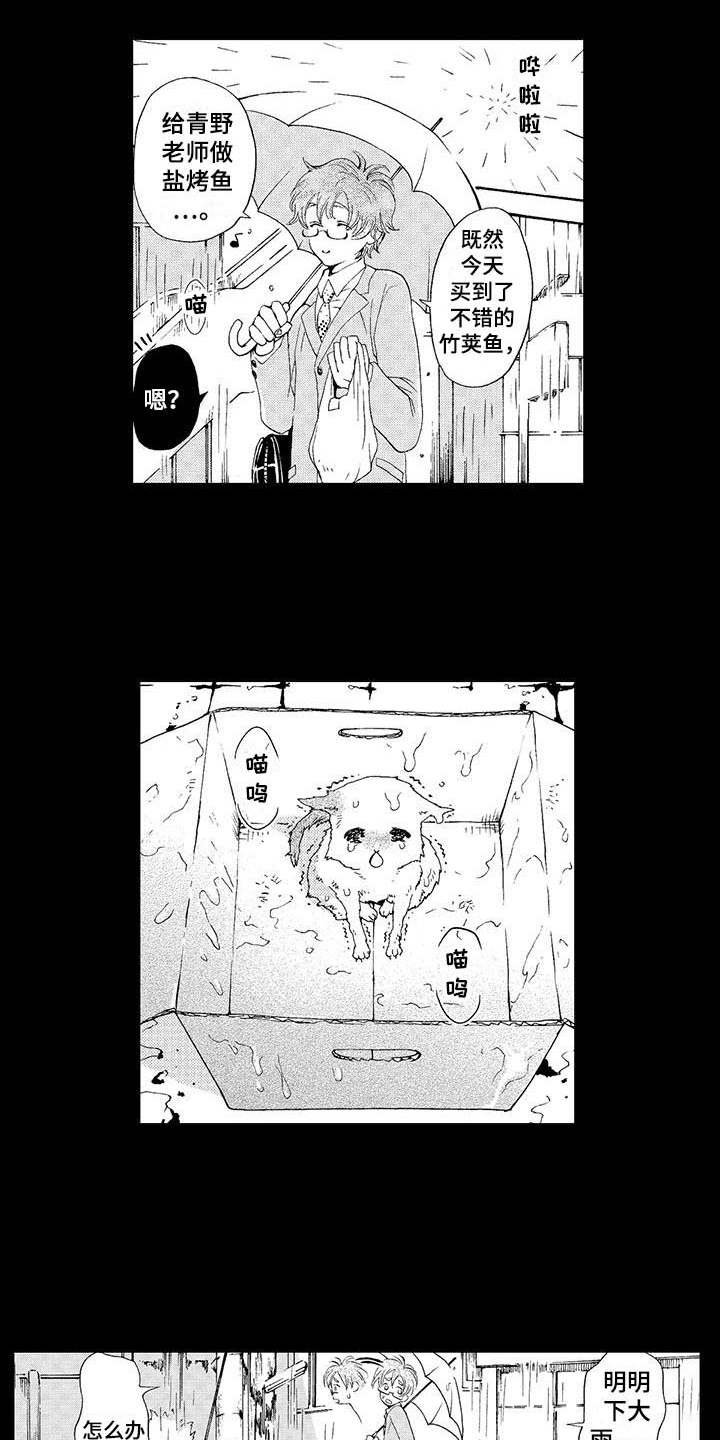 第2章：小猫