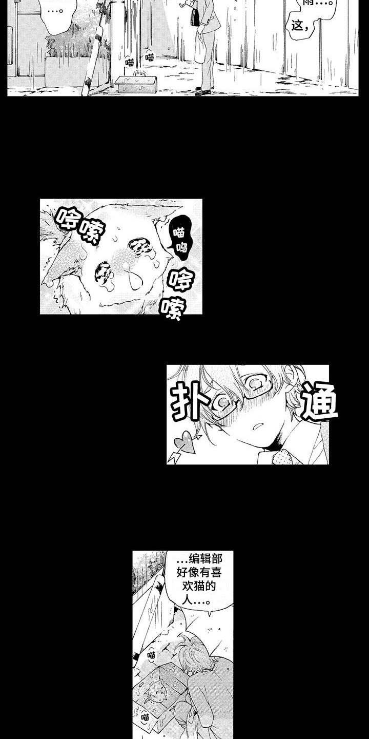 第2章：小猫