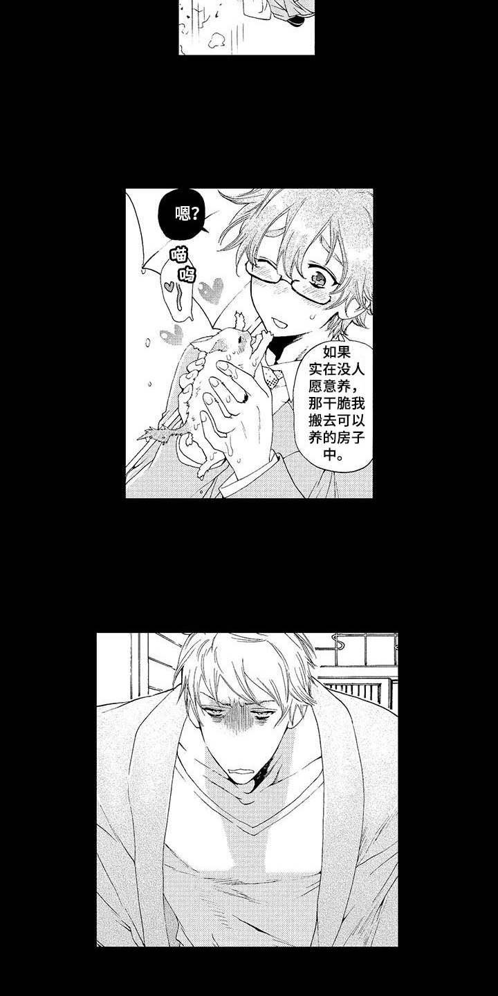 第2章：小猫