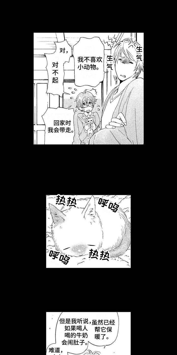 第2章：小猫