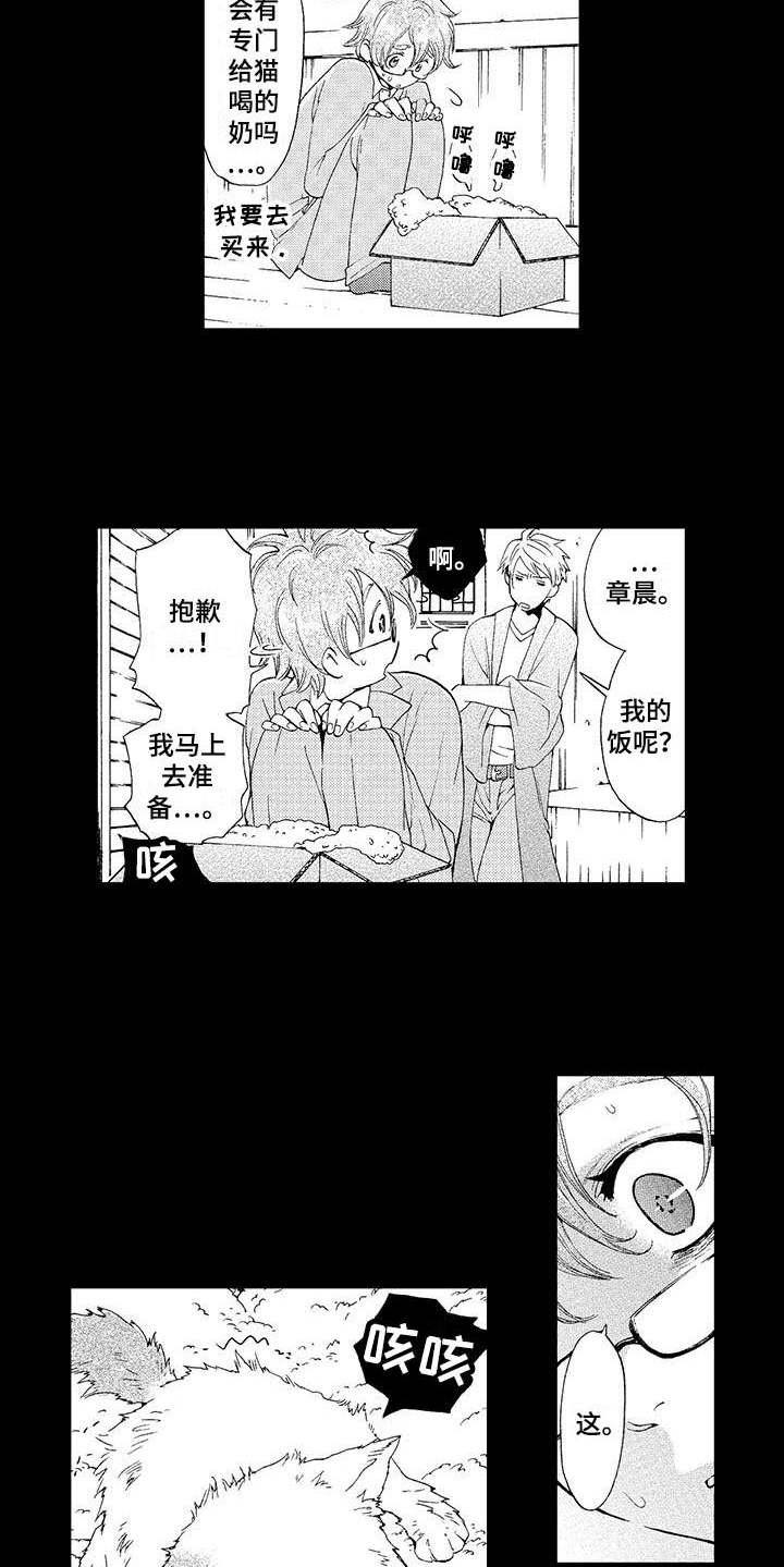 第2章：小猫