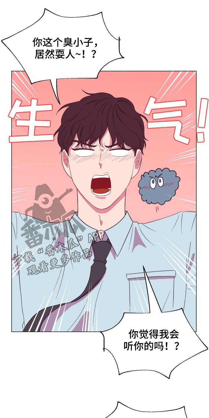 第13章：大项目