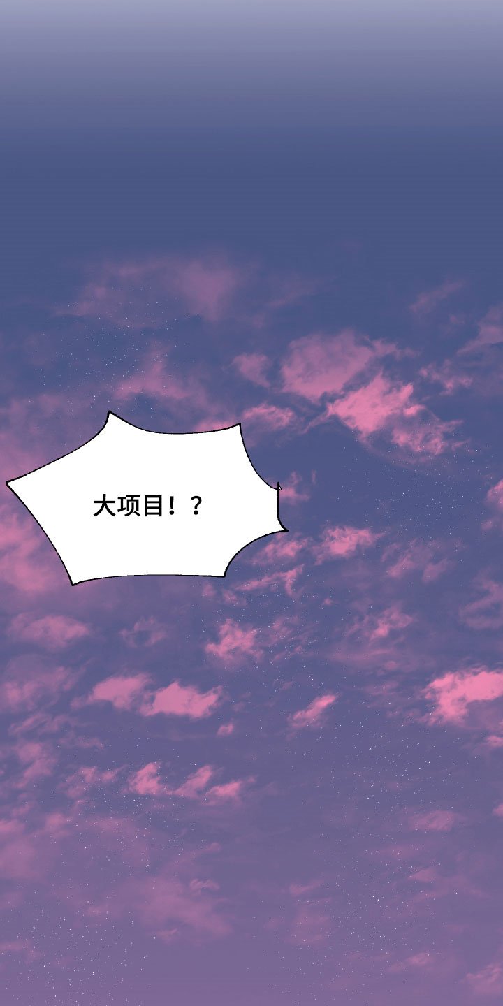 第13章：大项目