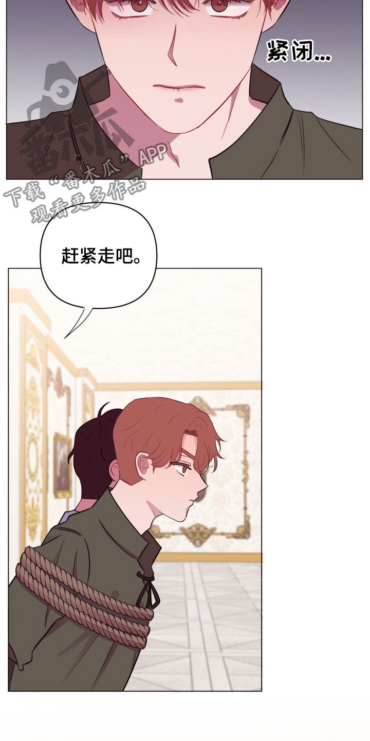 第29章：美男计
