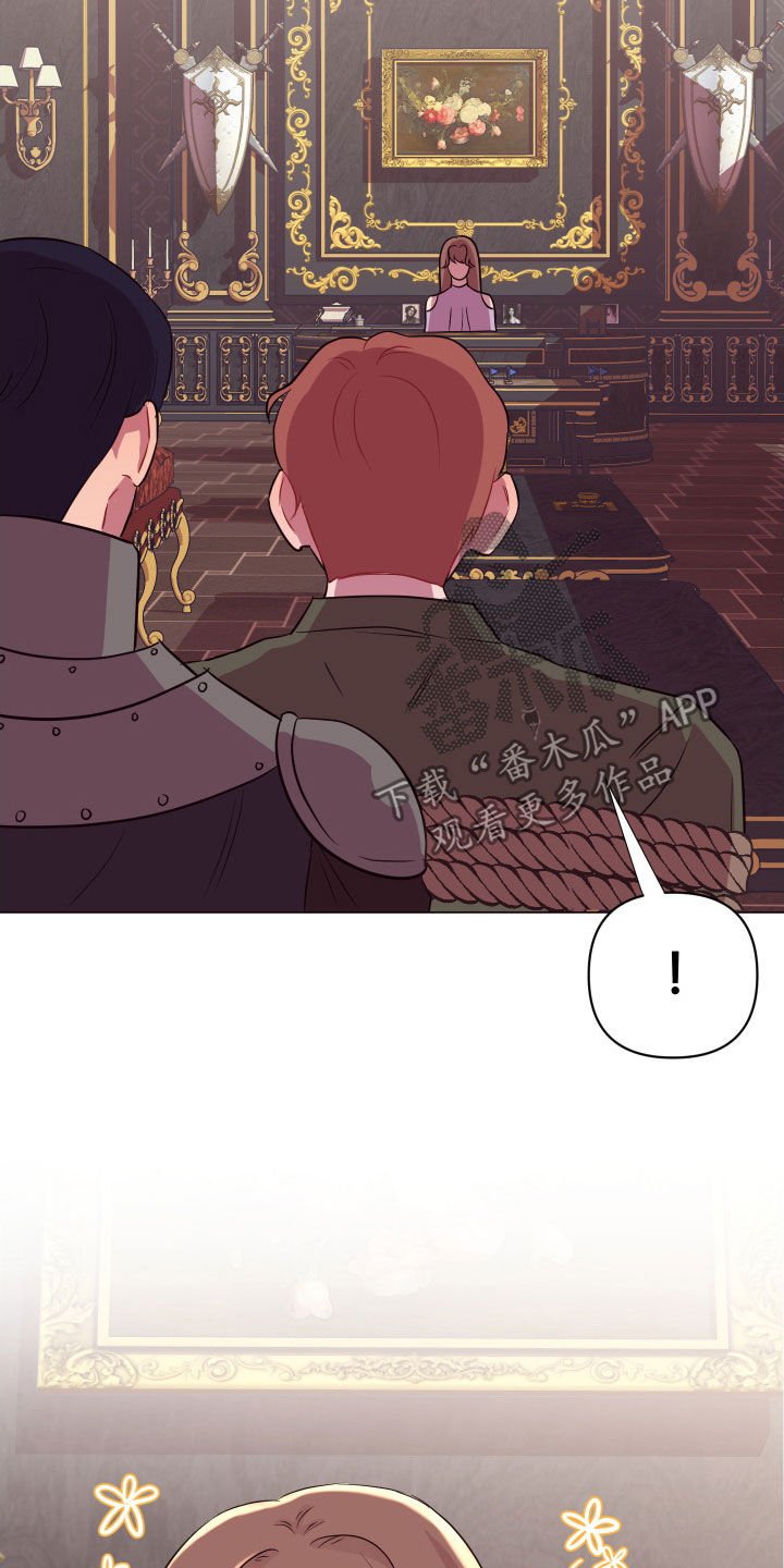 第29章：美男计