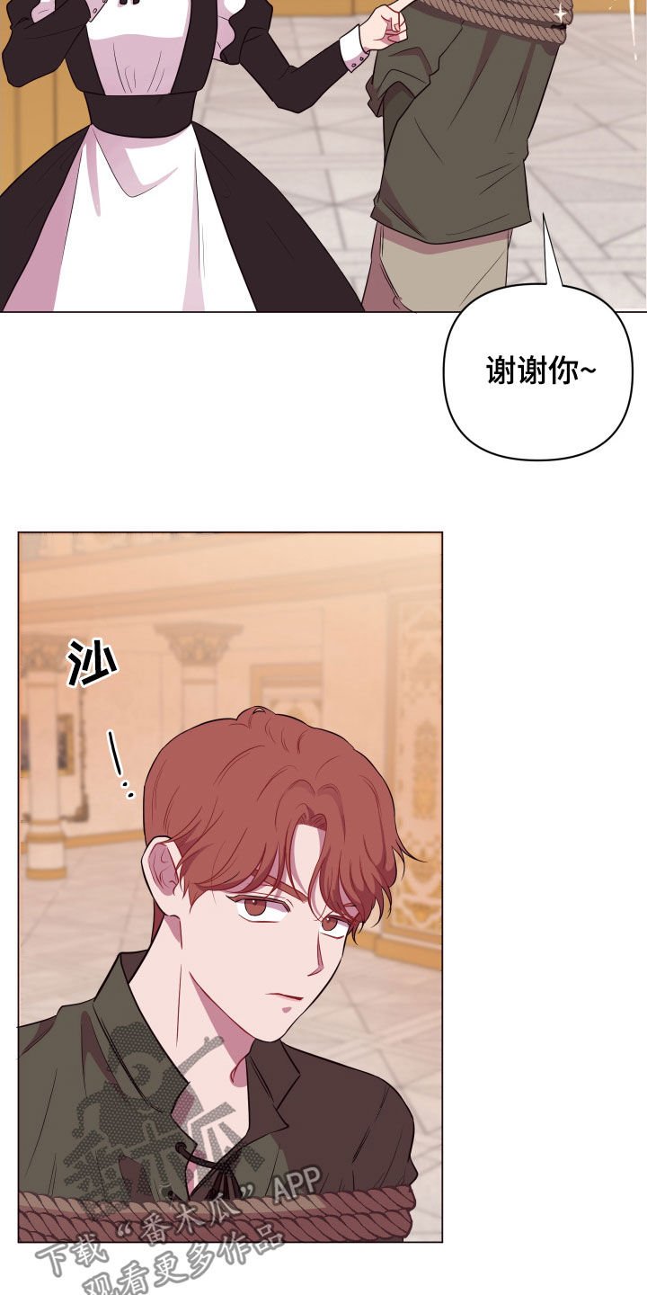 第29章：美男计