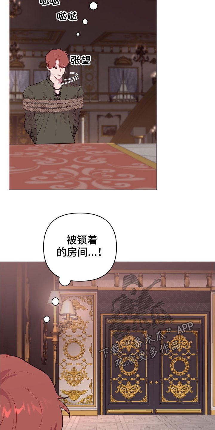 第29章：美男计