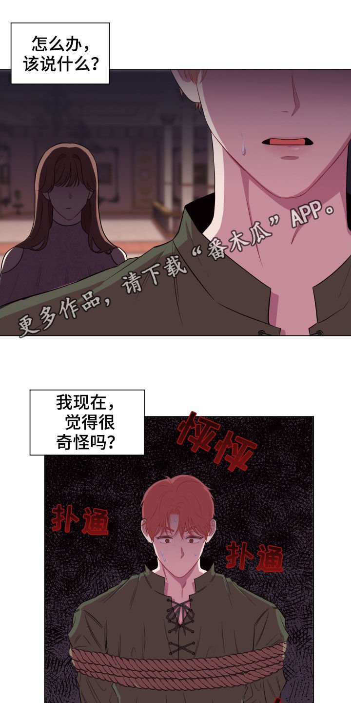 第30章：无辜的人