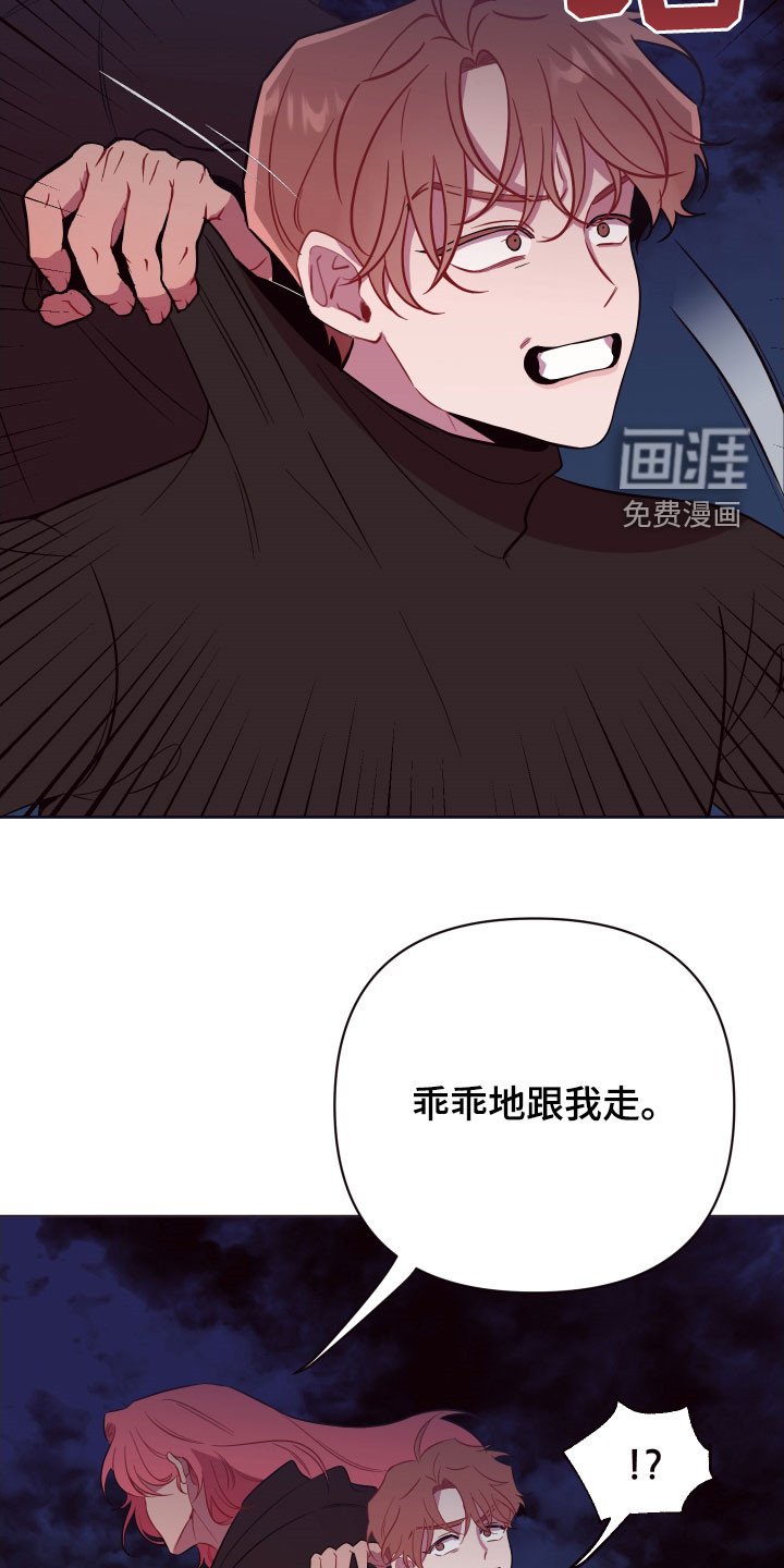 第40章：逃之夭夭